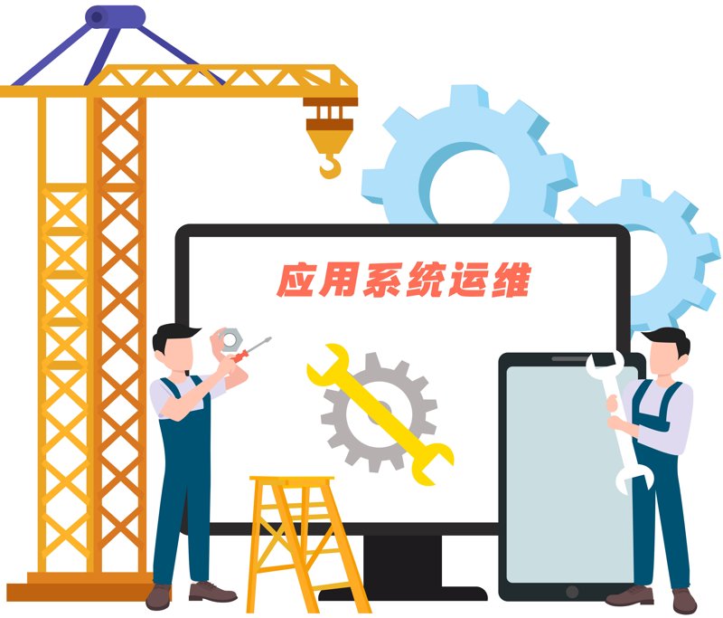 企业管理系统定制：构建数字化转型的新引擎