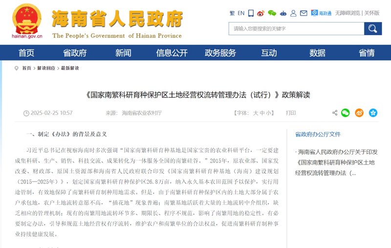 海口网站建设:助力企业腾飞的技术翅膀